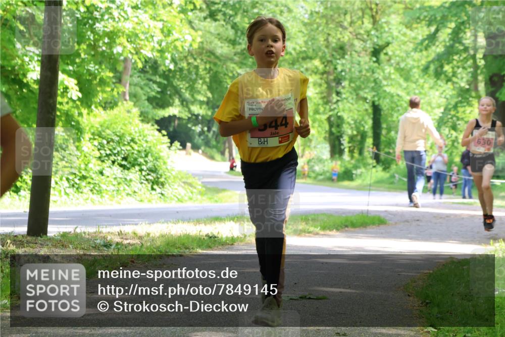 17.05.2025 - Störlauf Strokosch-Dieckow http://msf.ph/oto/7849145 17.05.2025 13:53:33 Laufen 44, 630 meine-sportfotos.de