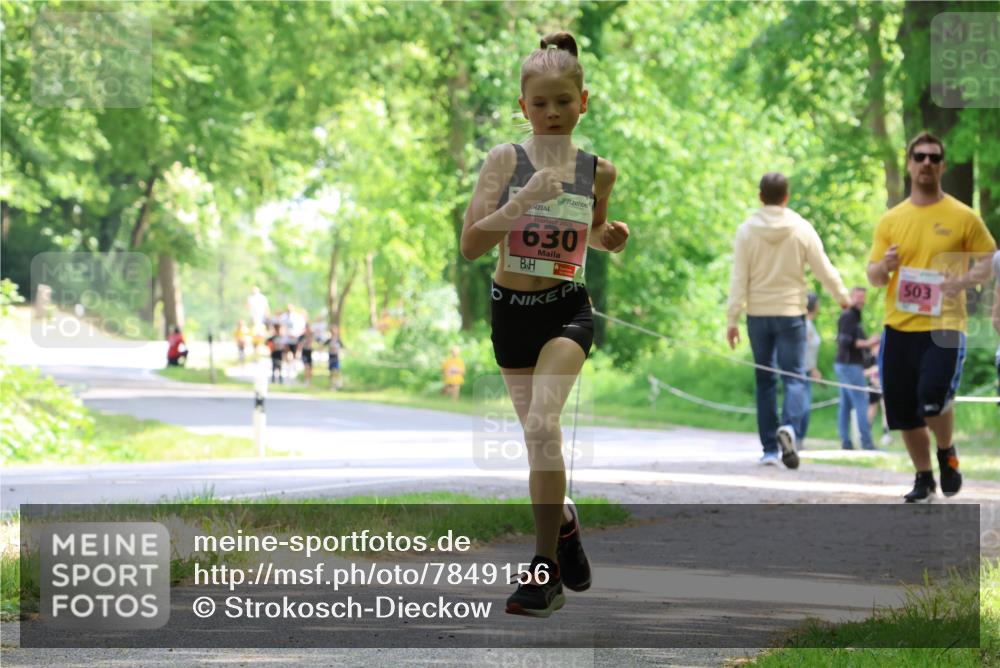 17.05.2025 - Störlauf Strokosch-Dieckow http://msf.ph/oto/7849156 17.05.2025 13:53:35 Laufen 2025, 630, 503 meine-sportfotos.de