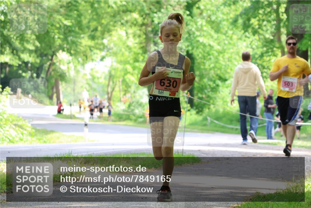 17.05.2025 - Störlauf Strokosch-Dieckow http://msf.ph/oto/7849165 17.05.2025 13:53:35 Laufen 2025, 630, 503 meine-sportfotos.de