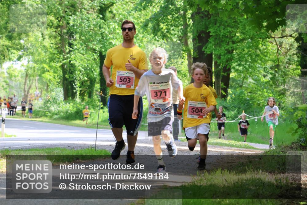17.05.2025 - Störlauf Strokosch-Dieckow http://msf.ph/oto/7849184 17.05.2025 13:53:37 Laufen 503, 371, 504, 457 meine-sportfotos.de