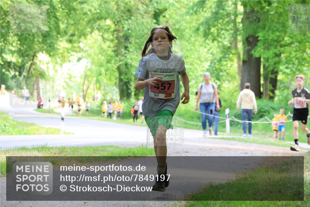 17.05.2025 - Störlauf Strokosch-Dieckow http://msf.ph/oto/7849197 17.05.2025 13:53:47 Laufen 2025, 457, 643 meine-sportfotos.de