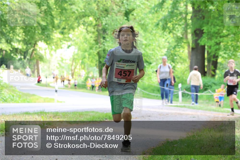 17.05.2025 - Störlauf Strokosch-Dieckow http://msf.ph/oto/7849205 17.05.2025 13:53:48 Laufen 457 meine-sportfotos.de