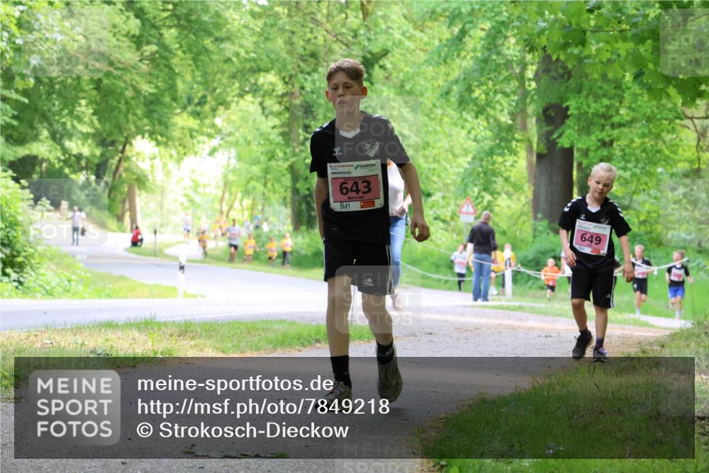 17.05.2025 - Störlauf Strokosch-Dieckow http://msf.ph/oto/7849218 17.05.2025 13:53:57 Laufen 2025, 643, 649 meine-sportfotos.de