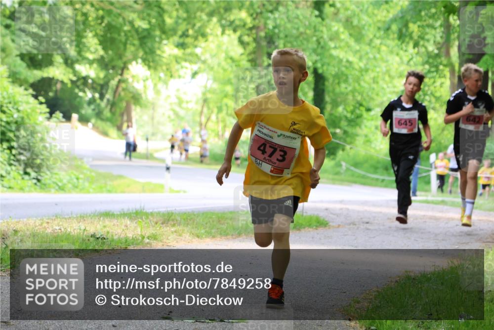 17.05.2025 - Störlauf Strokosch-Dieckow http://msf.ph/oto/7849258 17.05.2025 13:54:08 Laufen 2025, 473, 642, 645 meine-sportfotos.de