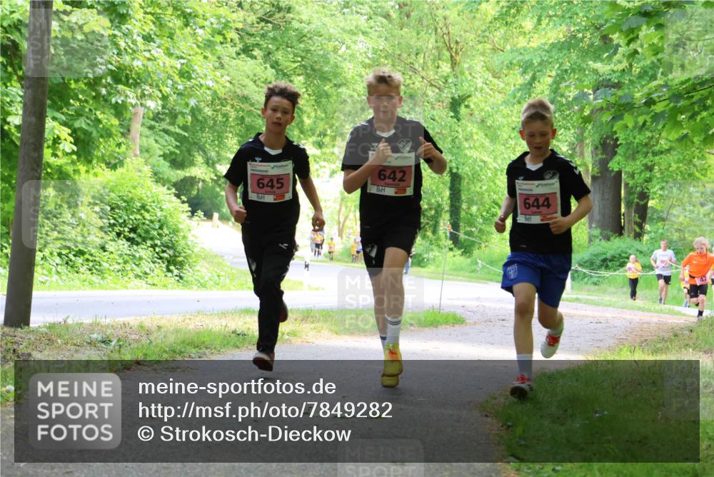 17.05.2025 - Störlauf Strokosch-Dieckow http://msf.ph/oto/7849282 17.05.2025 13:54:11 Laufen 645, 642, 644, 42 meine-sportfotos.de
