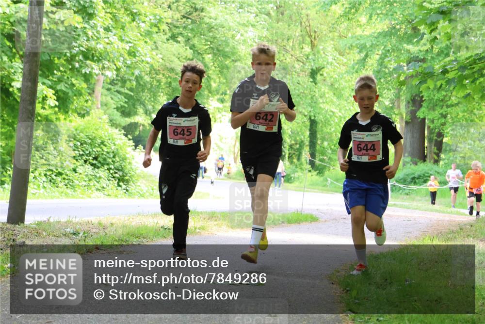 17.05.2025 - Störlauf Strokosch-Dieckow http://msf.ph/oto/7849286 17.05.2025 13:54:11 Laufen 645, 642, 644 meine-sportfotos.de