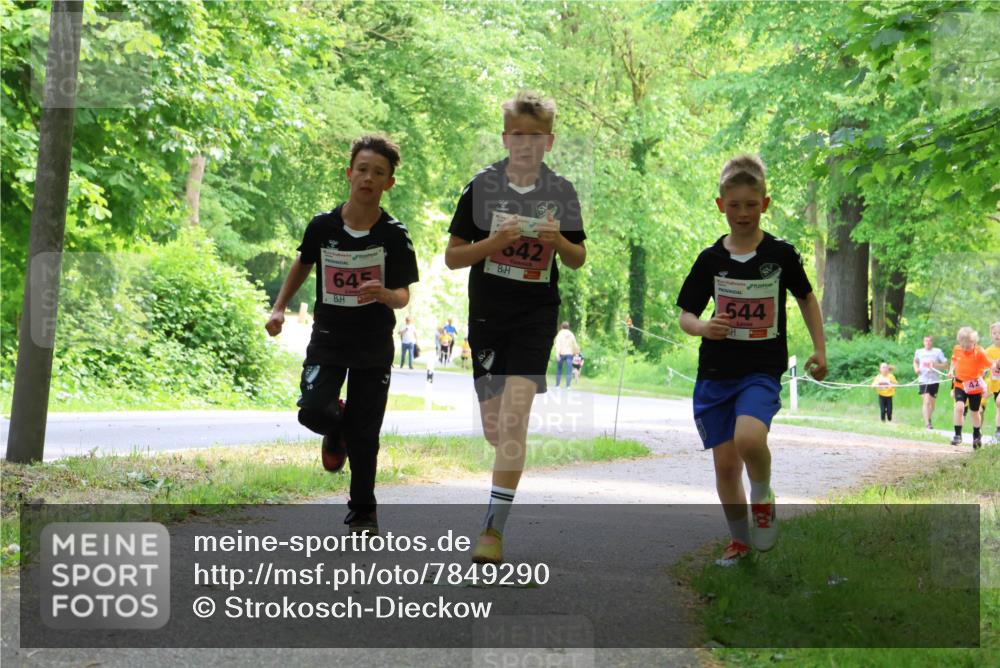 17.05.2025 - Störlauf Strokosch-Dieckow http://msf.ph/oto/7849290 17.05.2025 13:54:11 Laufen 645, 642, 544 meine-sportfotos.de
