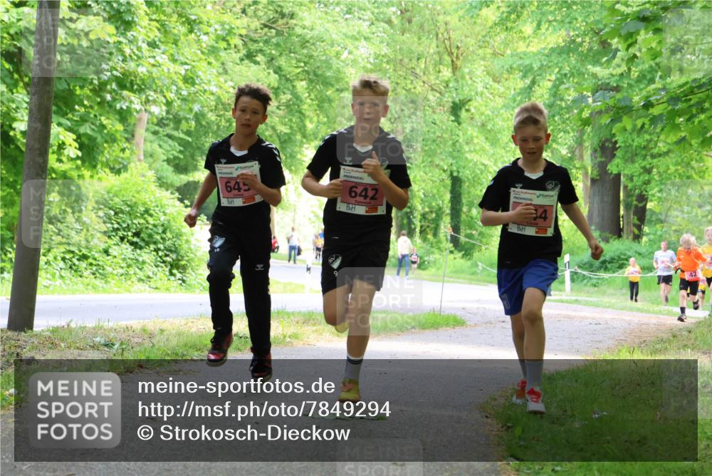 17.05.2025 - Störlauf Strokosch-Dieckow http://msf.ph/oto/7849294 17.05.2025 13:54:11 Laufen 645, 642 meine-sportfotos.de