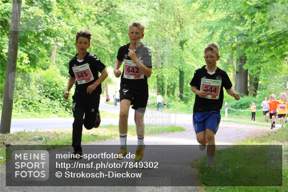 17.05.2025 - Störlauf Strokosch-Dieckow http://msf.ph/oto/7849302 17.05.2025 13:54:11 Laufen 645, 642, 544, 42, 464 meine-sportfotos.de