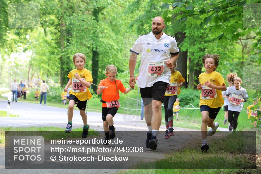 17.05.2025 - Störlauf Strokosch-Dieckow http://msf.ph/oto/7849306 17.05.2025 13:54:15 Laufen 464, 421, 422, 545, 550, 443 meine-sportfotos.de
