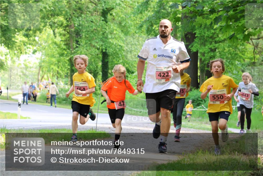 17.05.2025 - Störlauf Strokosch-Dieckow http://msf.ph/oto/7849315 17.05.2025 13:54:15 Laufen 42, 422, 15, 550, 443 meine-sportfotos.de