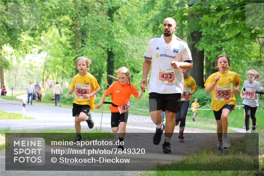 17.05.2025 - Störlauf Strokosch-Dieckow http://msf.ph/oto/7849320 17.05.2025 13:54:15 Laufen 464, 42, 422, 550, 443 meine-sportfotos.de