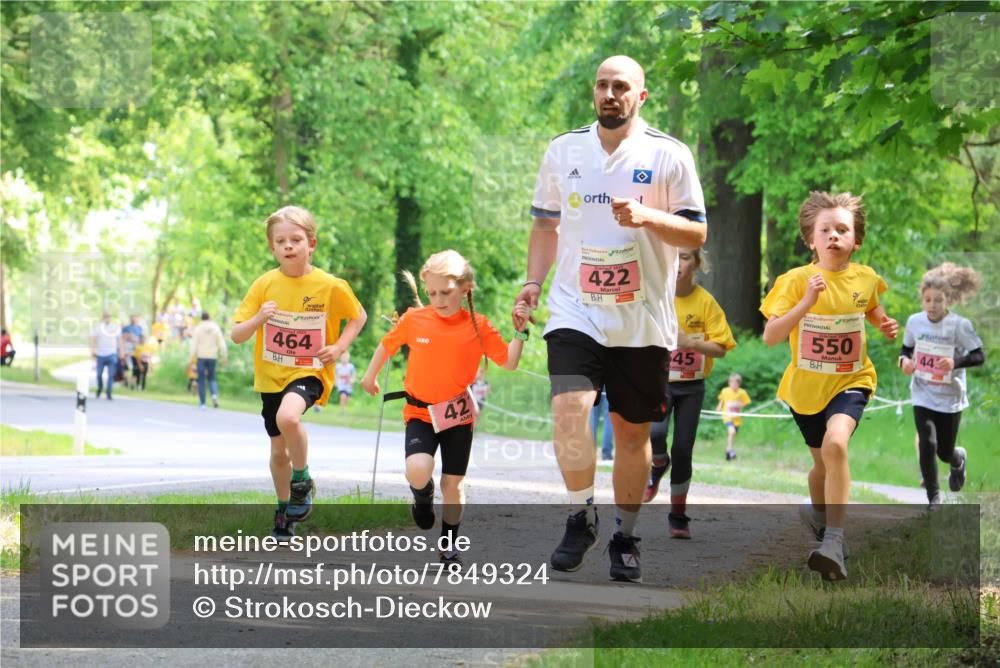 17.05.2025 - Störlauf Strokosch-Dieckow http://msf.ph/oto/7849324 17.05.2025 13:54:16 Laufen 464, 42, 422, 45, 550, 44 meine-sportfotos.de