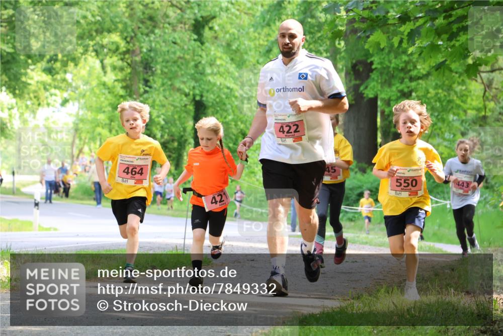 17.05.2025 - Störlauf Strokosch-Dieckow http://msf.ph/oto/7849332 17.05.2025 13:54:16 Laufen 464, 421, 2025, 422, 45, 2021, 550, 443 meine-sportfotos.de