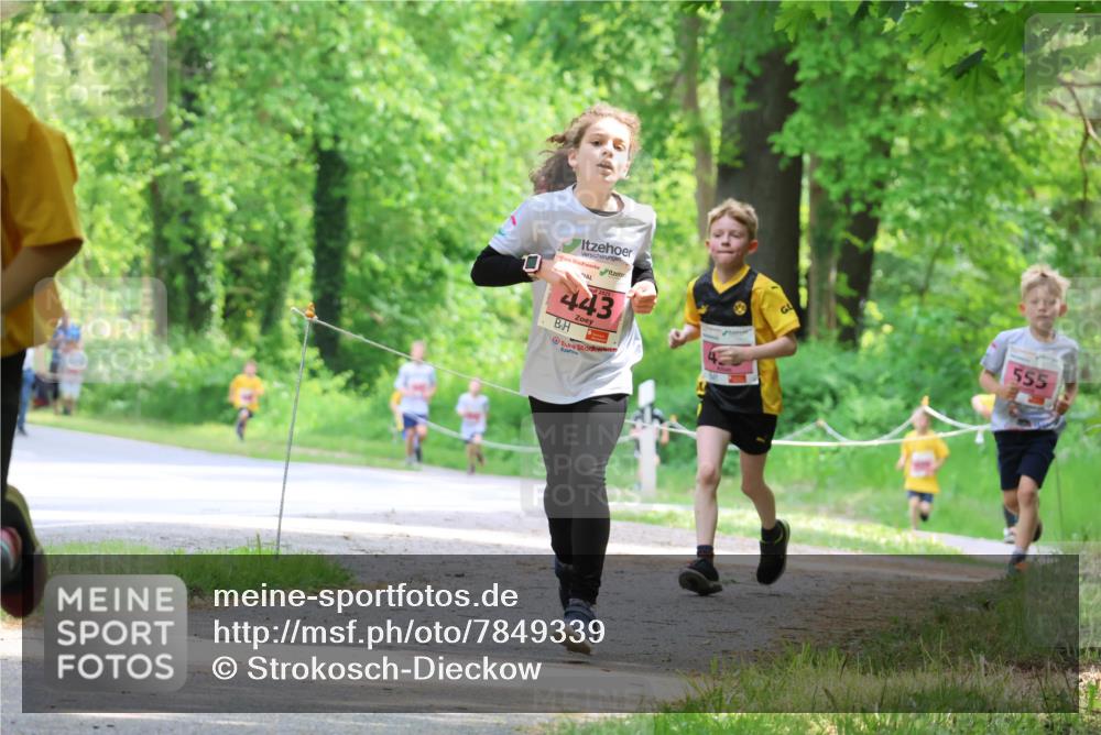 17.05.2025 - Störlauf Strokosch-Dieckow http://msf.ph/oto/7849339 17.05.2025 13:54:20 Laufen 443, 555 meine-sportfotos.de