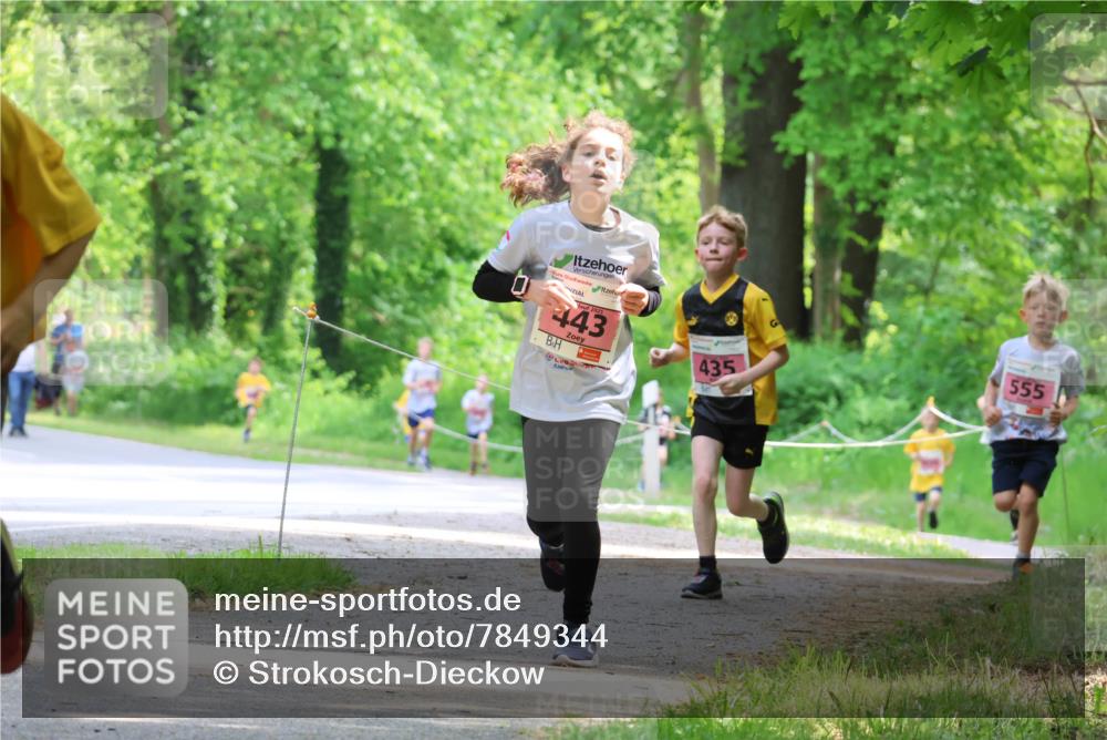 17.05.2025 - Störlauf Strokosch-Dieckow http://msf.ph/oto/7849344 17.05.2025 13:54:20 Laufen 0, 2025, 443, 435, 555 meine-sportfotos.de
