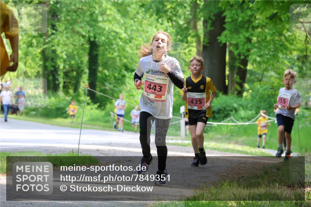 17.05.2025 - Störlauf Strokosch-Dieckow http://msf.ph/oto/7849351 17.05.2025 13:54:20 Laufen 443, 435, 555 meine-sportfotos.de