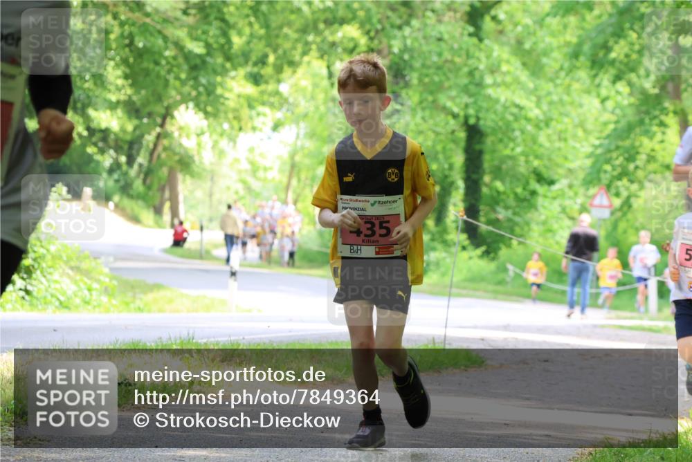 17.05.2025 - Störlauf Strokosch-Dieckow http://msf.ph/oto/7849364 17.05.2025 13:54:24 Laufen 2025, 35, 5 meine-sportfotos.de