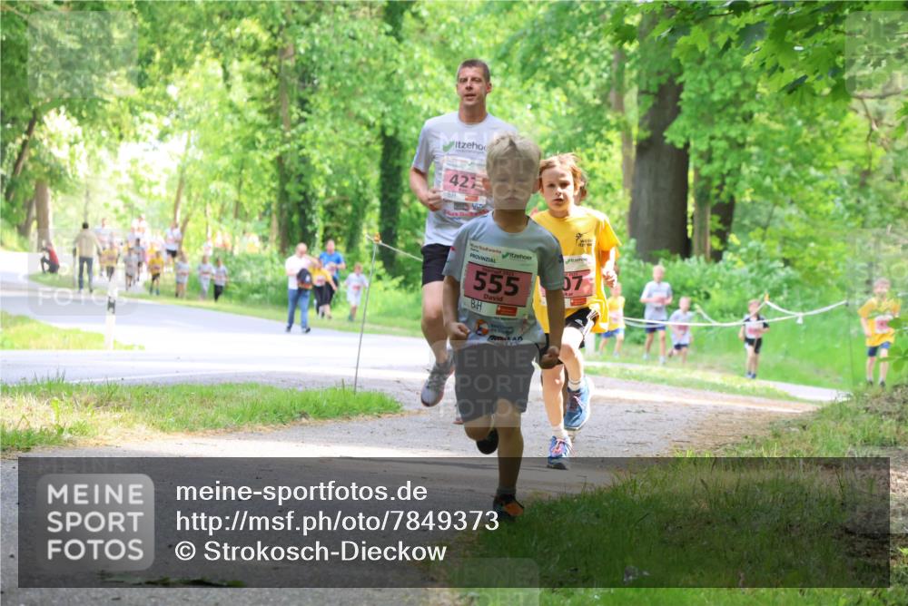 17.05.2025 - Störlauf Strokosch-Dieckow http://msf.ph/oto/7849373 17.05.2025 13:54:26 Laufen 427, 555, 07 meine-sportfotos.de