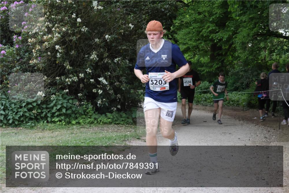 17.05.2025 - Störlauf Strokosch-Dieckow http://msf.ph/oto/7849391 17.05.2025 19:16:08 Laufen 2025, 5203, 4536, 453 meine-sportfotos.de