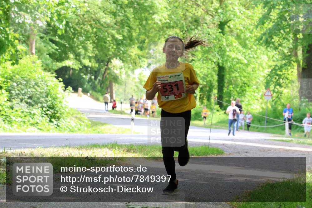 17.05.2025 - Störlauf Strokosch-Dieckow http://msf.ph/oto/7849397 17.05.2025 13:54:34 Laufen 531 meine-sportfotos.de