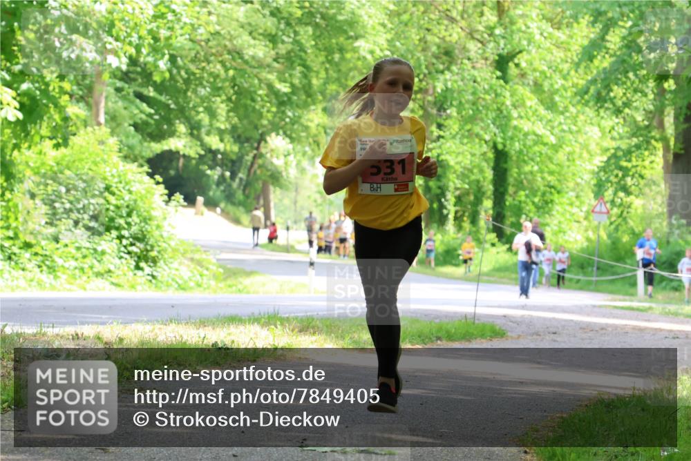 17.05.2025 - Störlauf Strokosch-Dieckow http://msf.ph/oto/7849405 17.05.2025 13:54:34 Laufen 2025, 531 meine-sportfotos.de