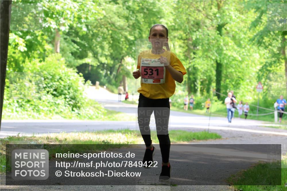 17.05.2025 - Störlauf Strokosch-Dieckow http://msf.ph/oto/7849422 17.05.2025 13:54:34 Laufen 2025, 531 meine-sportfotos.de