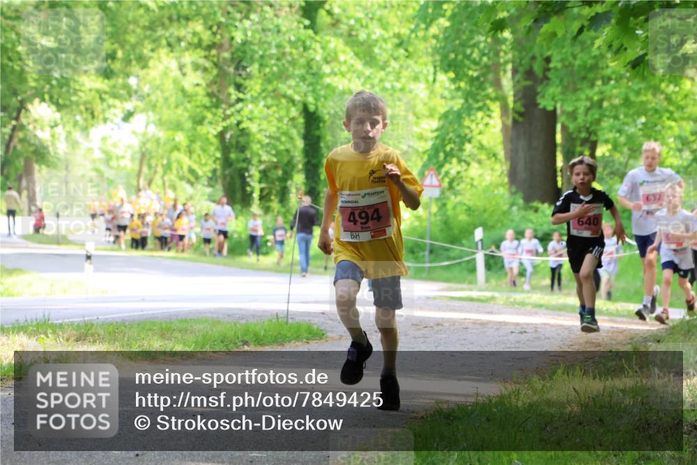 17.05.2025 - Störlauf Strokosch-Dieckow http://msf.ph/oto/7849425 17.05.2025 13:54:39 Laufen 494, 632, 640 meine-sportfotos.de