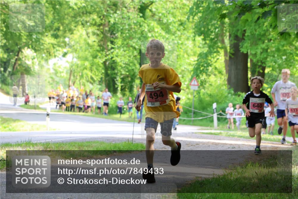 17.05.2025 - Störlauf Strokosch-Dieckow http://msf.ph/oto/7849433 17.05.2025 13:54:39 Laufen 494, 640, 632, 633 meine-sportfotos.de