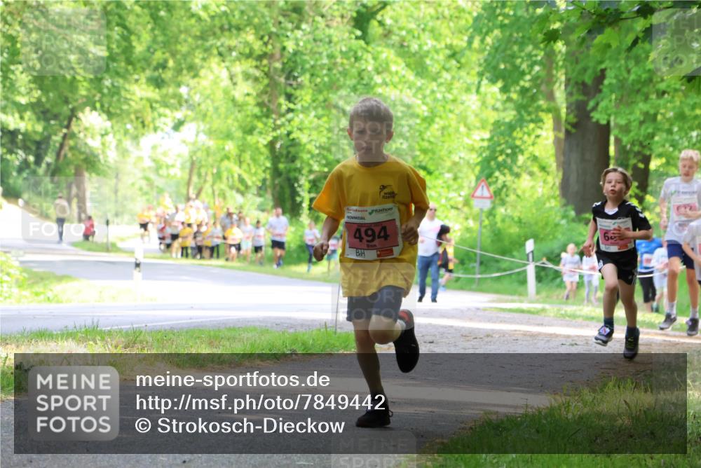 17.05.2025 - Störlauf Strokosch-Dieckow http://msf.ph/oto/7849442 17.05.2025 13:54:39 Laufen 494 meine-sportfotos.de