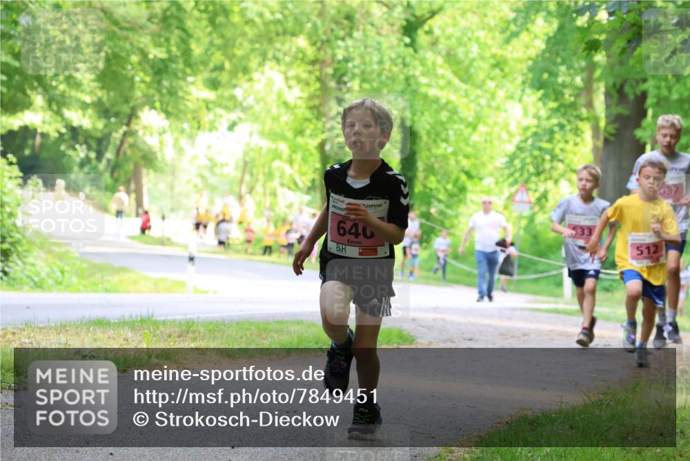 17.05.2025 - Störlauf Strokosch-Dieckow http://msf.ph/oto/7849451 17.05.2025 13:54:42 Laufen 640, 512, 32 meine-sportfotos.de