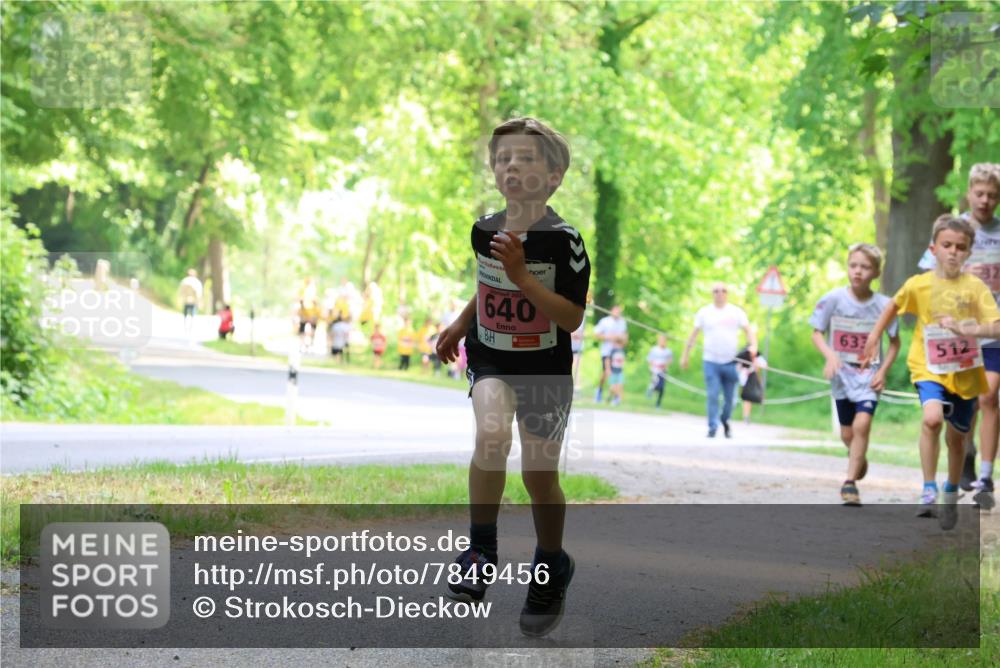 17.05.2025 - Störlauf Strokosch-Dieckow http://msf.ph/oto/7849456 17.05.2025 13:54:42 Laufen 202, 640, 637, 512 meine-sportfotos.de