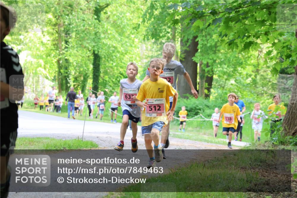 17.05.2025 - Störlauf Strokosch-Dieckow http://msf.ph/oto/7849463 17.05.2025 13:54:44 Laufen 632, 512, 538 meine-sportfotos.de