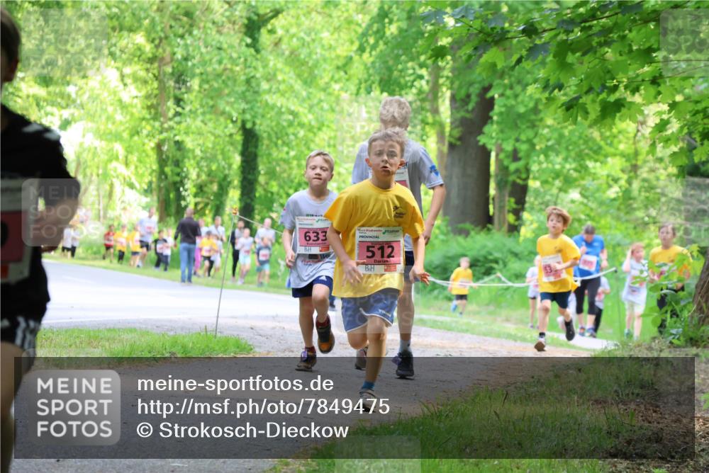 17.05.2025 - Störlauf Strokosch-Dieckow http://msf.ph/oto/7849475 17.05.2025 13:54:44 Laufen 633, 2025, 512 meine-sportfotos.de