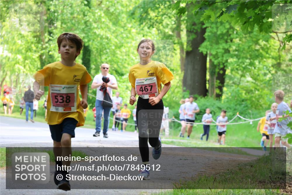 17.05.2025 - Störlauf Strokosch-Dieckow http://msf.ph/oto/7849512 17.05.2025 13:54:50 Laufen 538, 2025, 467 meine-sportfotos.de