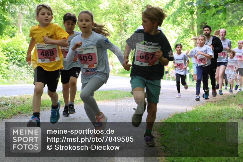 17.05.2025 - Störlauf Strokosch-Dieckow http://msf.ph/oto/7849585 17.05.2025 13:55:09 Laufen 488, 409, 10, 667, 145, 669, 455, 440, 430 meine-sportfotos.de