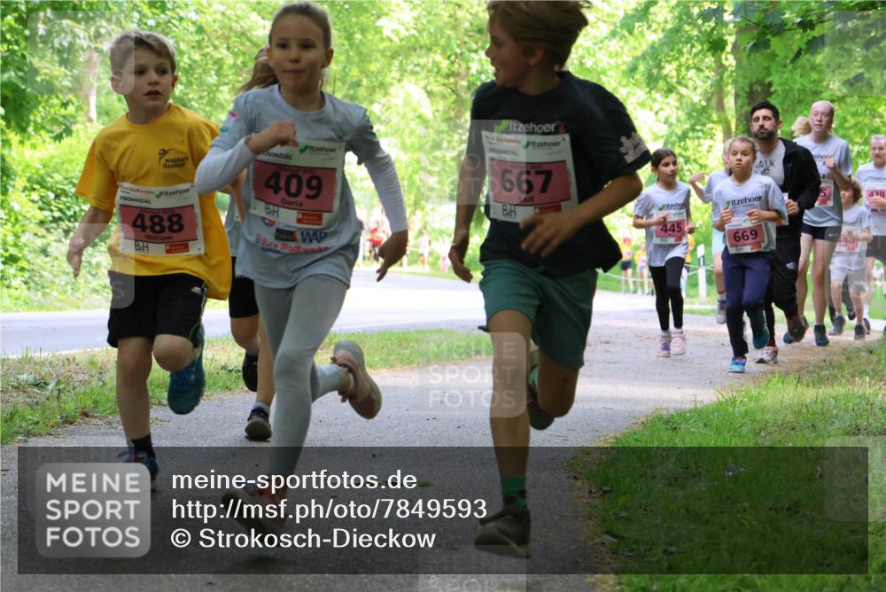 17.05.2025 - Störlauf Strokosch-Dieckow http://msf.ph/oto/7849593 17.05.2025 13:55:09 Laufen 488, 409, 2025, 667, 445, 669, 430 meine-sportfotos.de