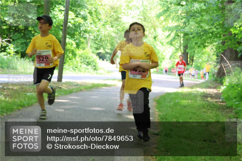 17.05.2025 - Störlauf Strokosch-Dieckow http://msf.ph/oto/7849653 17.05.2025 13:55:21 Laufen 529 meine-sportfotos.de