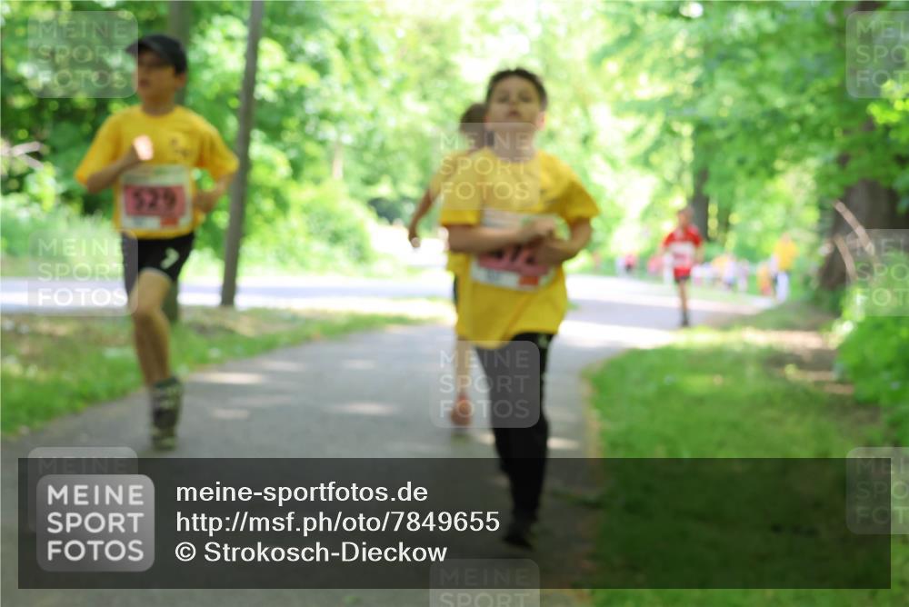 17.05.2025 - Störlauf Strokosch-Dieckow http://msf.ph/oto/7849655 17.05.2025 13:55:21 Laufen  meine-sportfotos.de