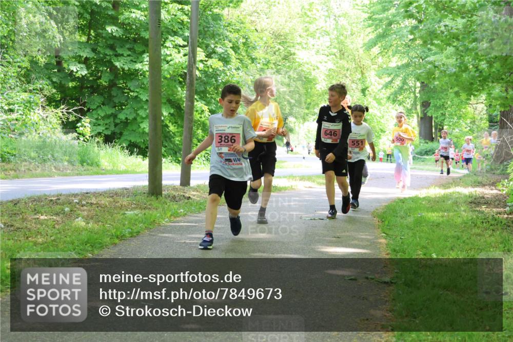 17.05.2025 - Störlauf Strokosch-Dieckow http://msf.ph/oto/7849673 17.05.2025 13:55:31 Laufen 386, 646, 551, 500 meine-sportfotos.de
