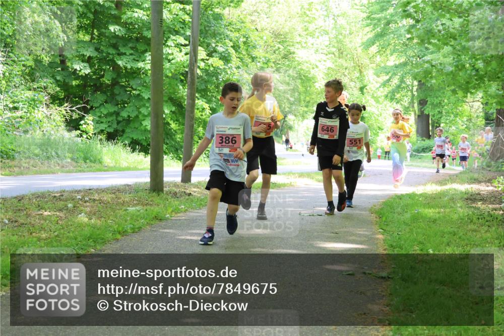 17.05.2025 - Störlauf Strokosch-Dieckow http://msf.ph/oto/7849675 17.05.2025 13:55:31 Laufen 386, 646, 551, 500 meine-sportfotos.de