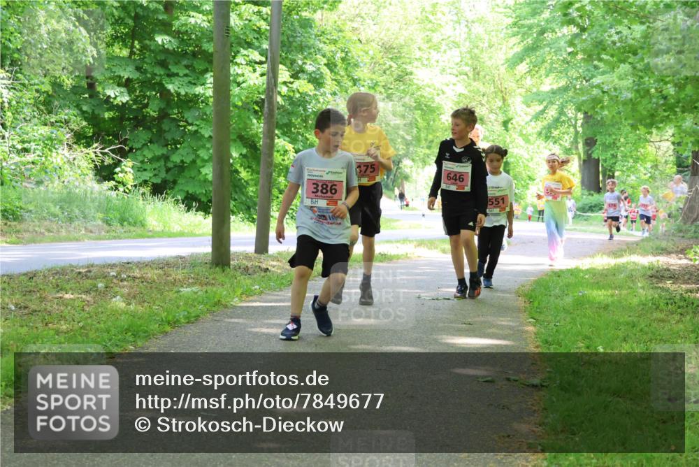 17.05.2025 - Störlauf Strokosch-Dieckow http://msf.ph/oto/7849677 17.05.2025 13:55:31 Laufen 386, 75, 646, 551 meine-sportfotos.de