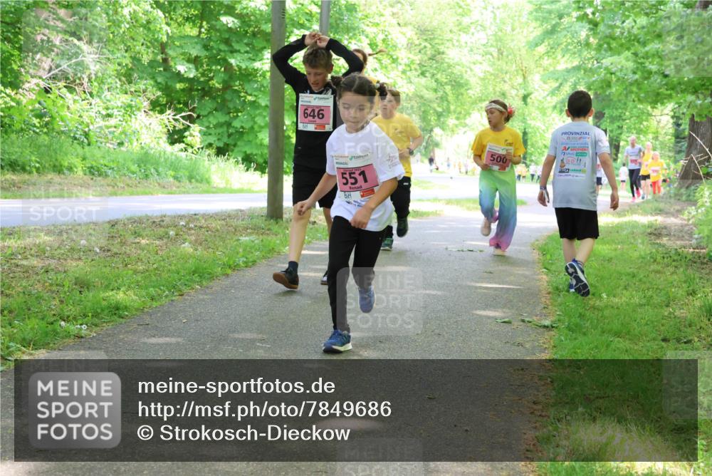 17.05.2025 - Störlauf Strokosch-Dieckow http://msf.ph/oto/7849686 17.05.2025 13:55:34 Laufen 646, 551, 500, 25 meine-sportfotos.de