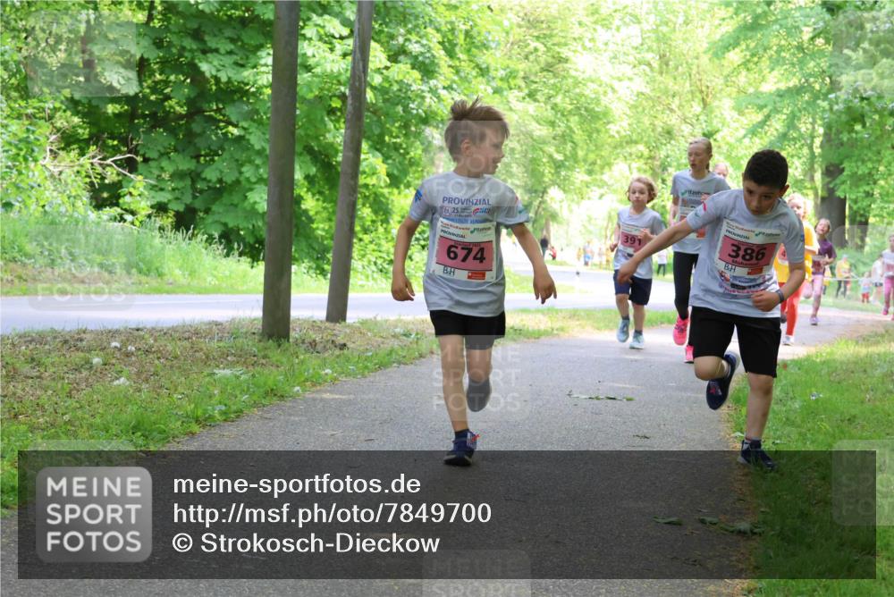 17.05.2025 - Störlauf Strokosch-Dieckow http://msf.ph/oto/7849700 17.05.2025 13:55:39 Laufen 25, 674, 391, 386 meine-sportfotos.de