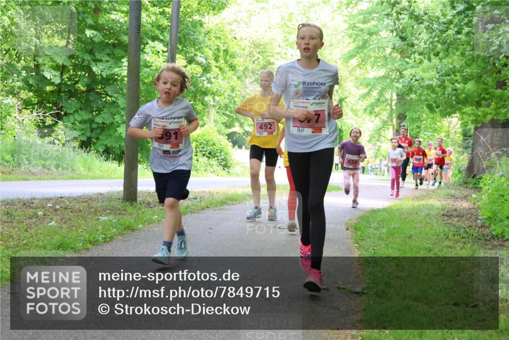 17.05.2025 - Störlauf Strokosch-Dieckow http://msf.ph/oto/7849715 17.05.2025 13:55:43 Laufen 391, 492, 7, 659, 59, 656 meine-sportfotos.de
