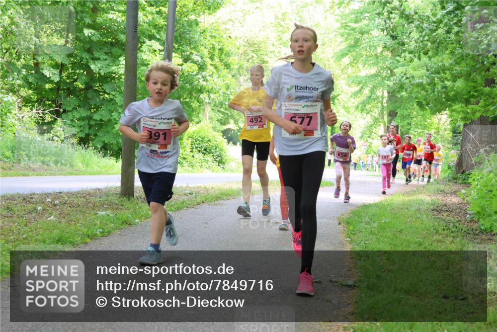 17.05.2025 - Störlauf Strokosch-Dieckow http://msf.ph/oto/7849716 17.05.2025 13:55:43 Laufen 391, 492, 577, 656, 593 meine-sportfotos.de