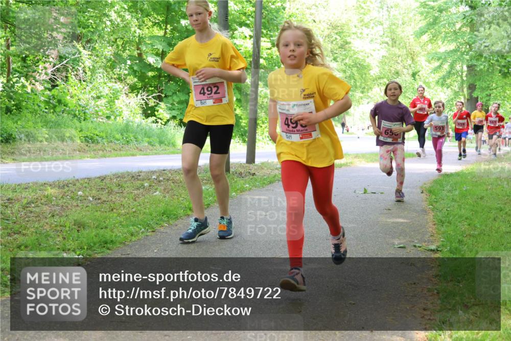 17.05.2025 - Störlauf Strokosch-Dieckow http://msf.ph/oto/7849722 17.05.2025 13:55:45 Laufen 492, 495, 65, 659, 593 meine-sportfotos.de