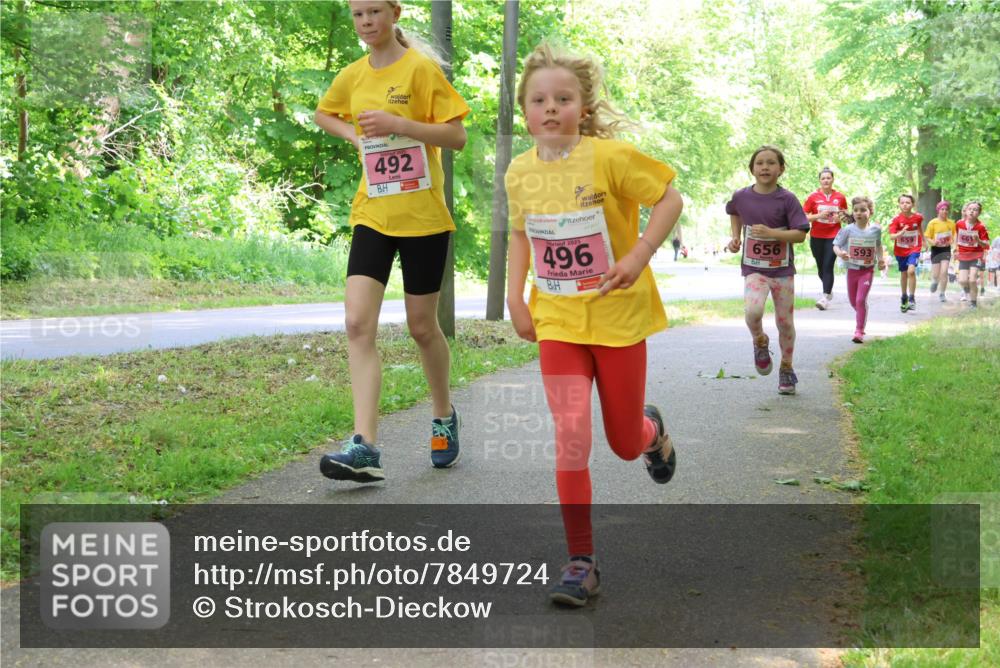 17.05.2025 - Störlauf Strokosch-Dieckow http://msf.ph/oto/7849724 17.05.2025 13:55:45 Laufen 492, 2025, 496, 659, 539, 661, 656, 593 meine-sportfotos.de
