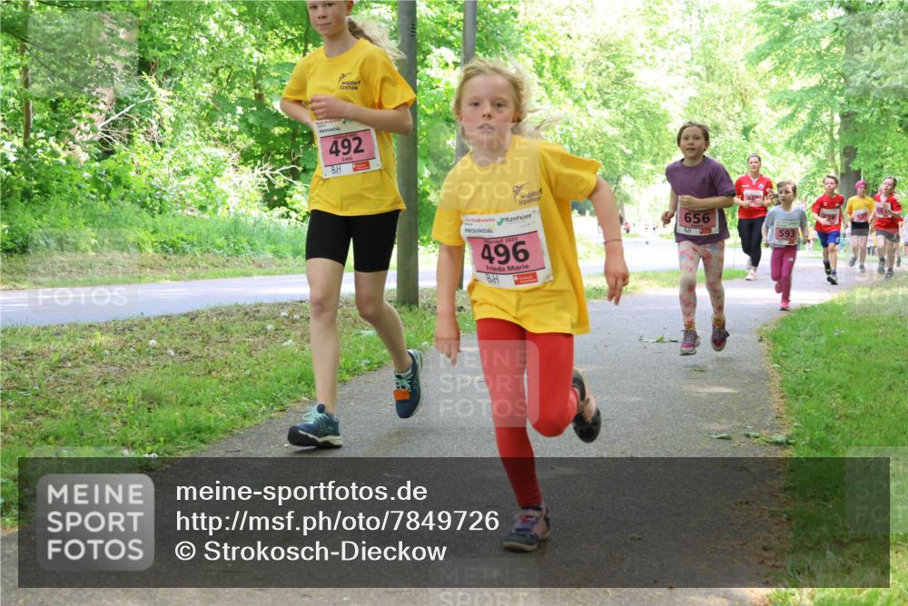 17.05.2025 - Störlauf Strokosch-Dieckow http://msf.ph/oto/7849726 17.05.2025 13:55:45 Laufen 492, 2025, 496, 656, 593 meine-sportfotos.de