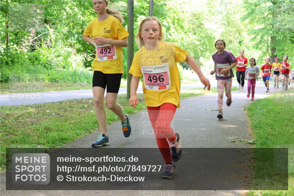 17.05.2025 - Störlauf Strokosch-Dieckow http://msf.ph/oto/7849727 17.05.2025 13:55:45 Laufen 492, 2025, 496, 66, 659, 593 meine-sportfotos.de